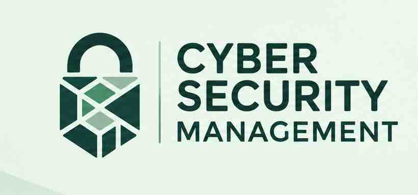 cyber security management; cyber security risk management, risk management, ai risk
